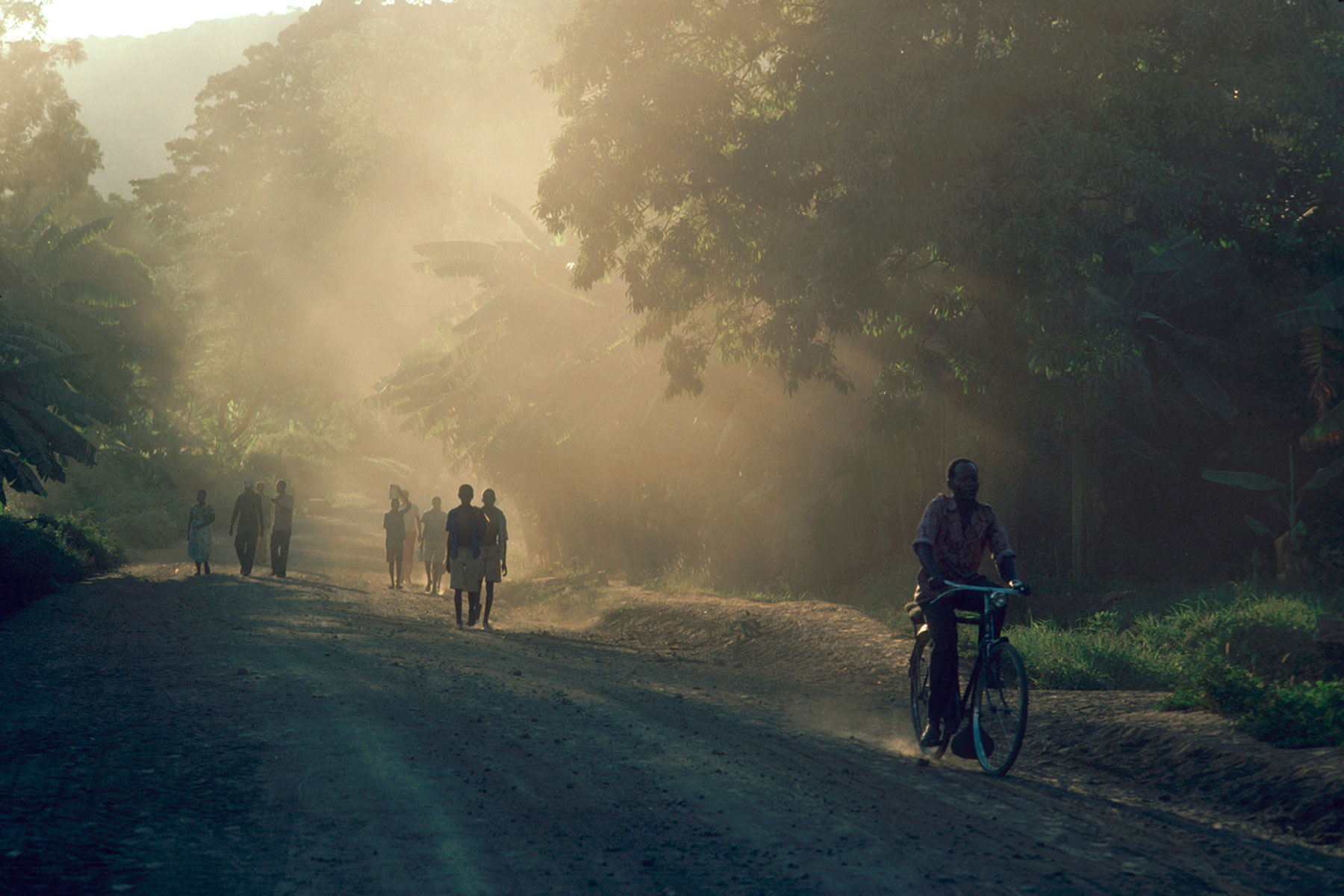 Under Kilimanjaro, Tanzania