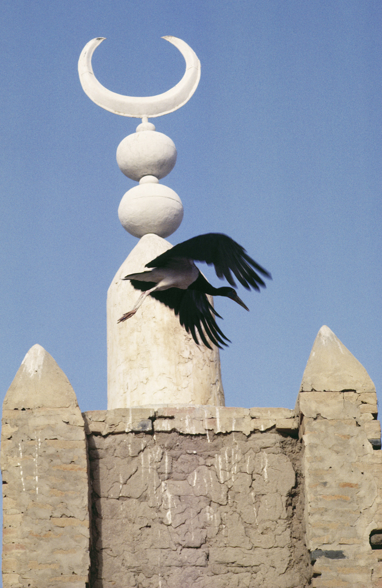 Mosque, Timbuktu