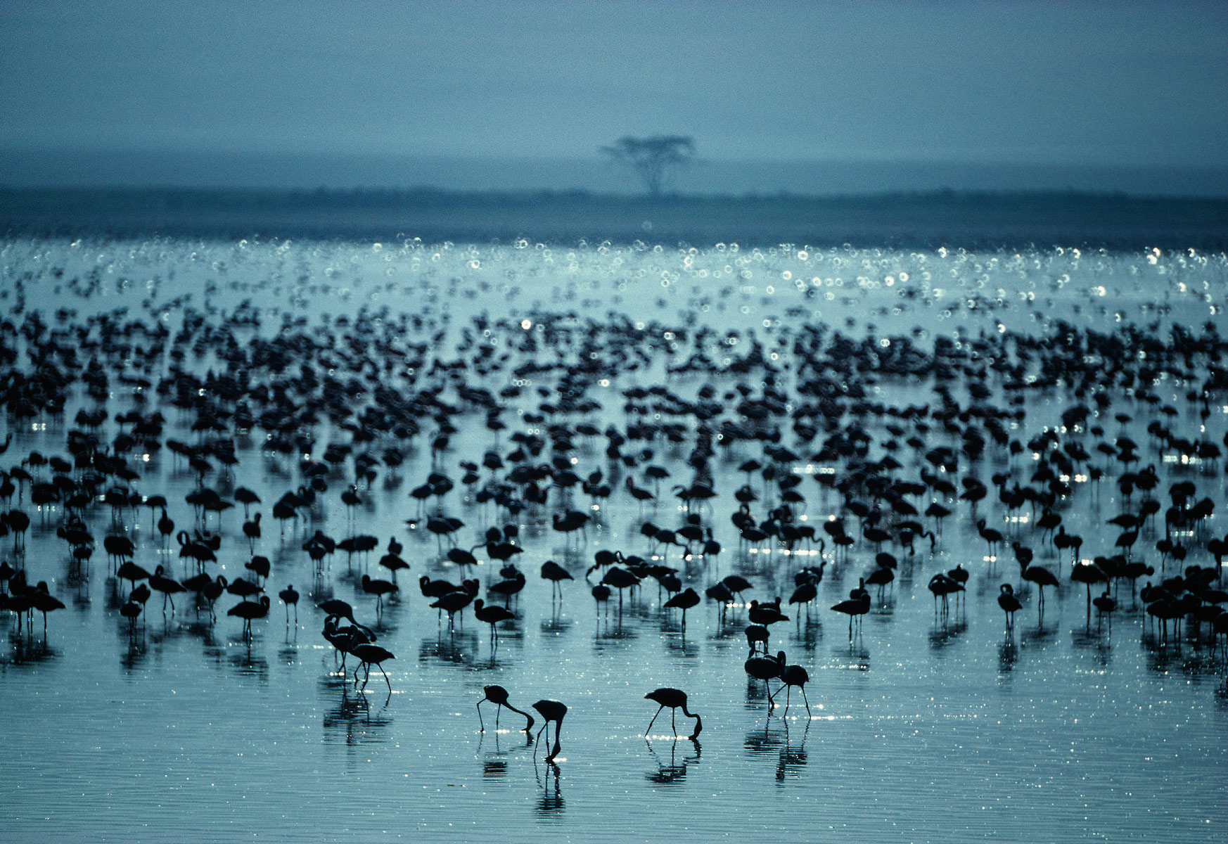 Ngorongoro Crater, Tanzania