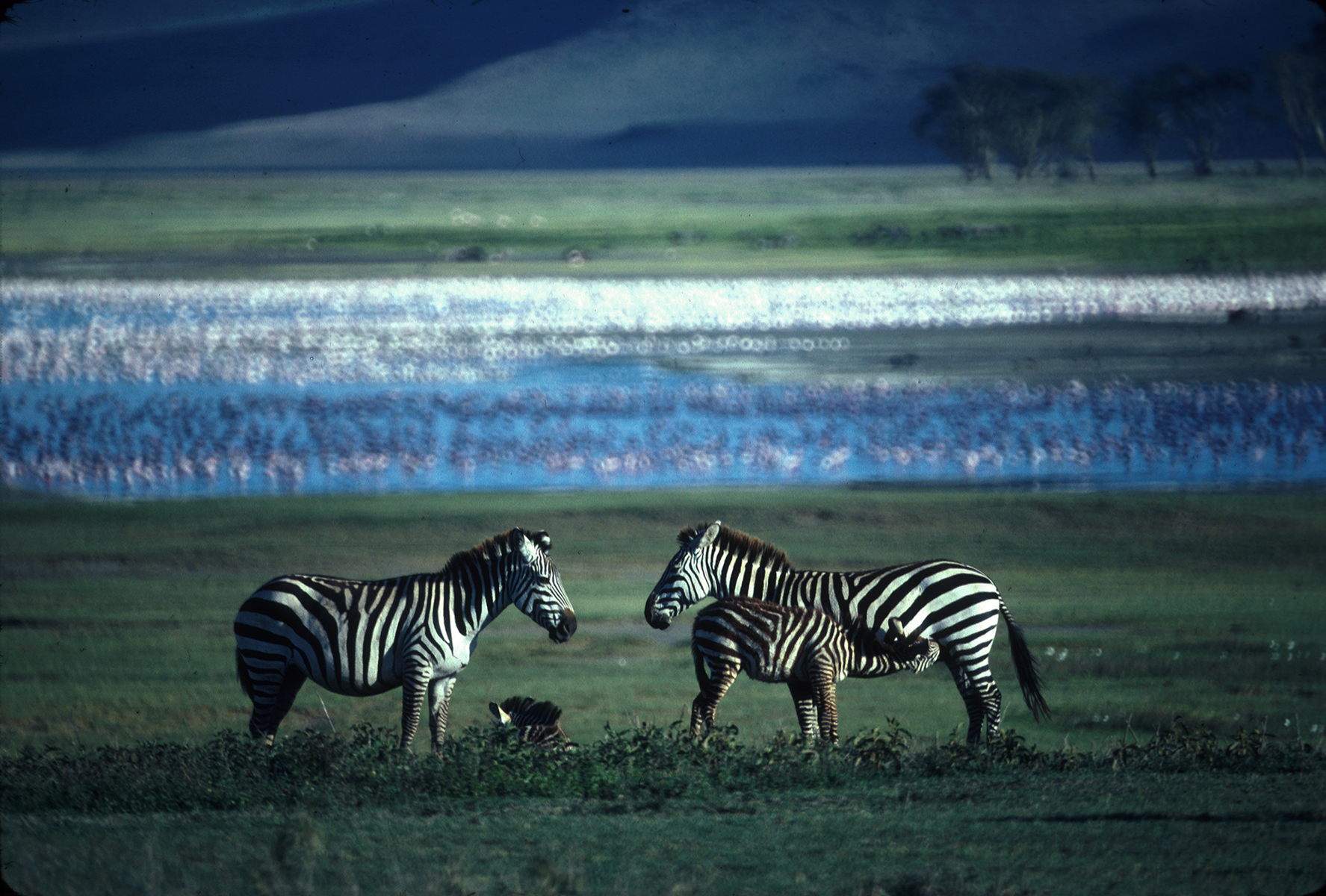 Ngorongoro Crater, Tanzania