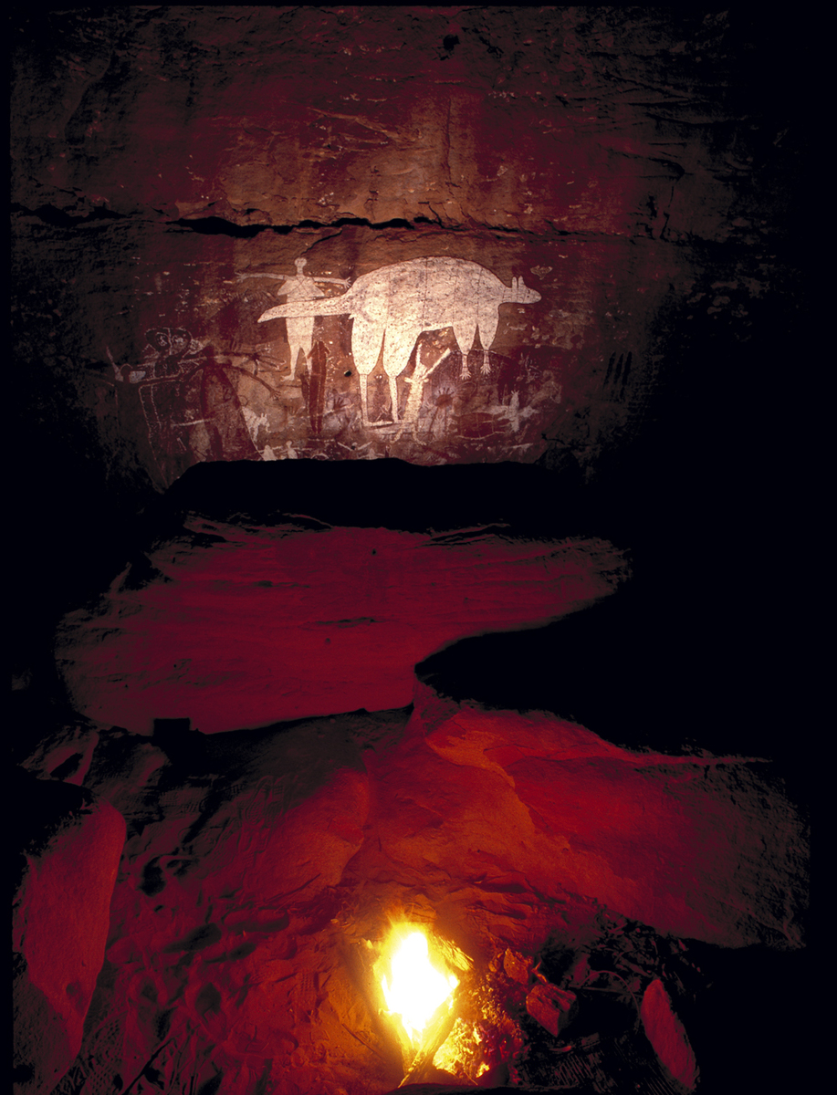 Earthwatch